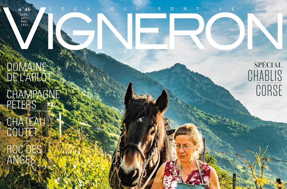 Vigneron Magazine